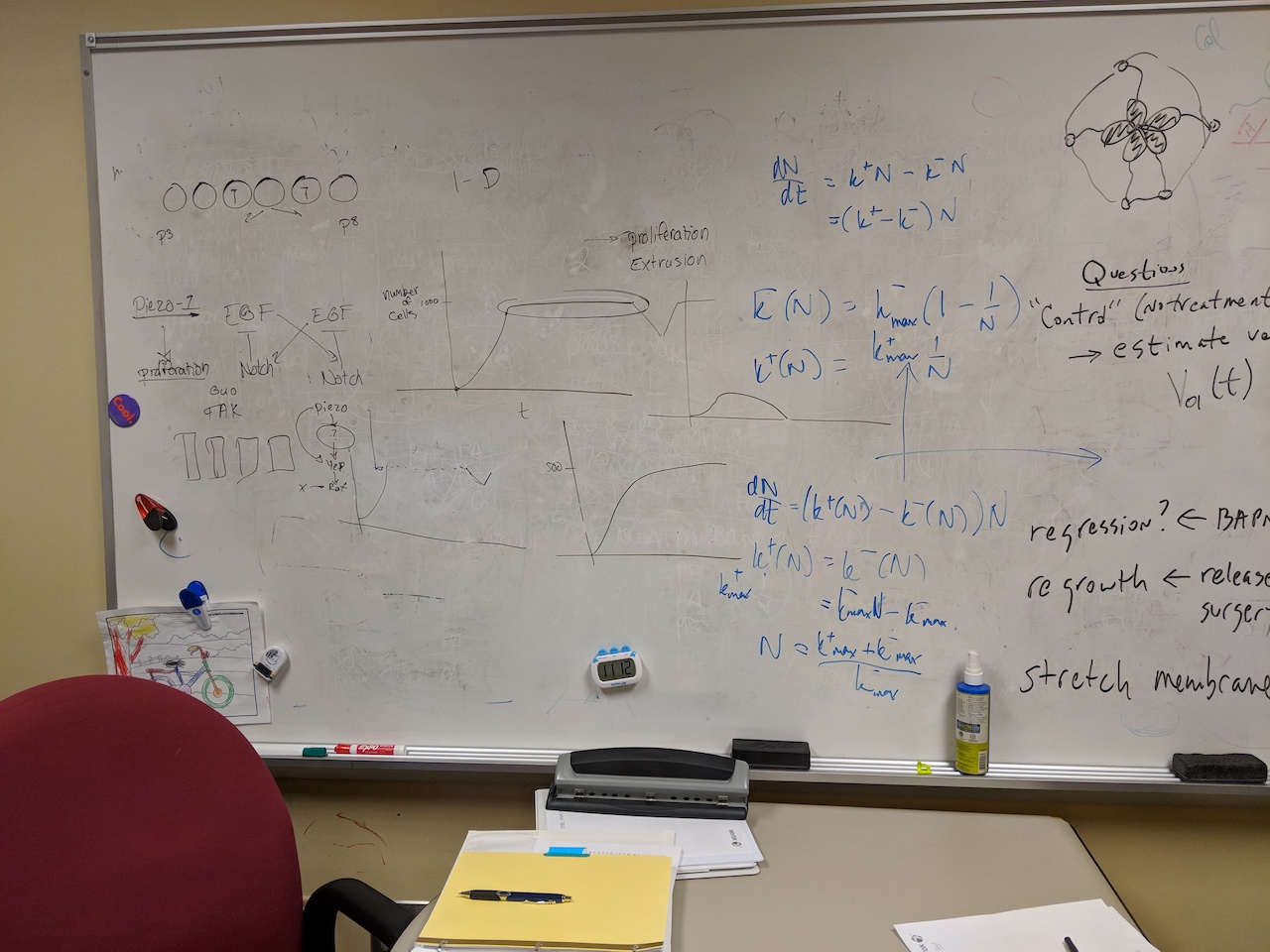 Adriana's whiteboard where she brainstorms with her group