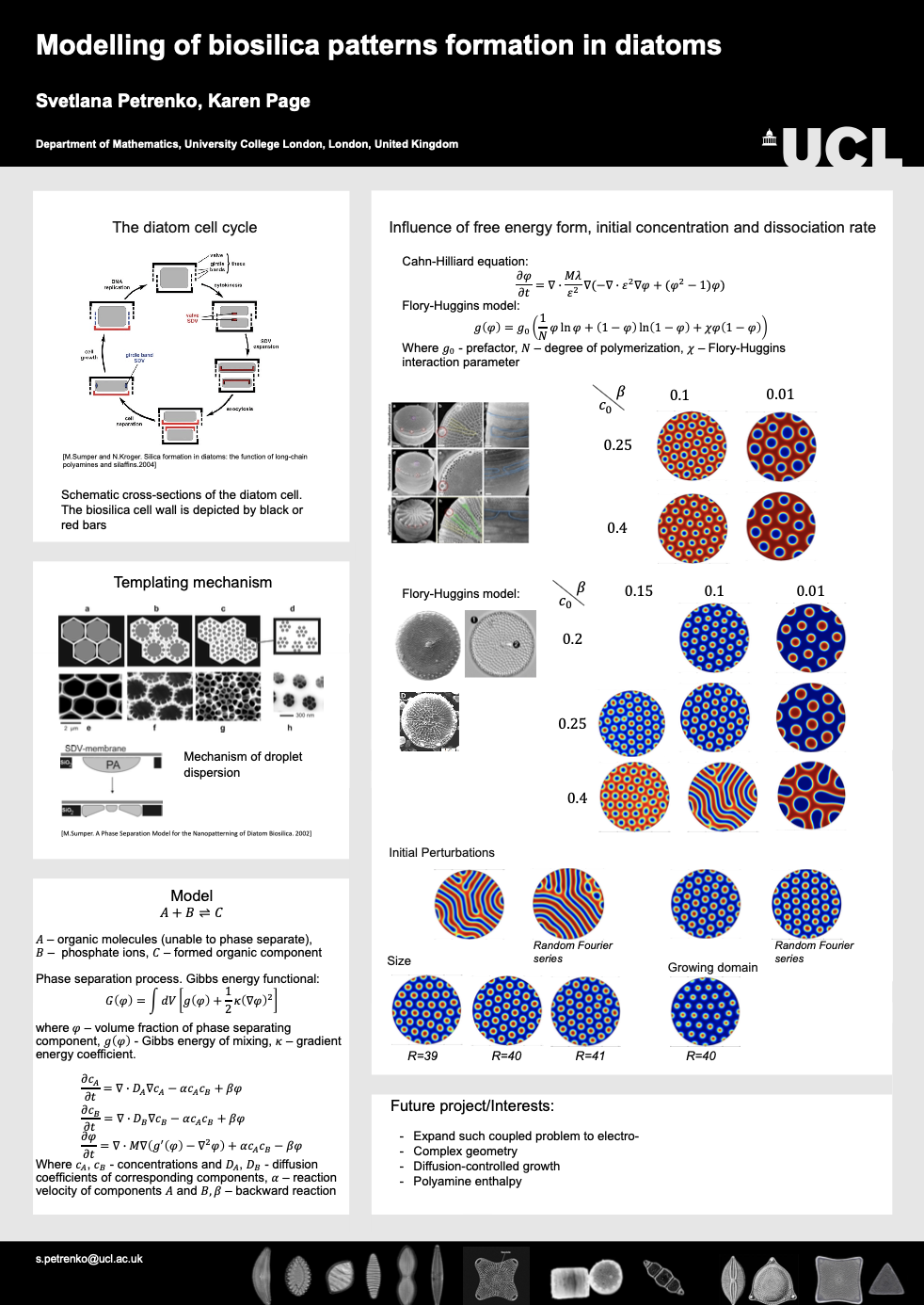Svetlana Petrenko's prize poster: Influence of the free energy form on modelling of biosilica patterns formation in diatoms