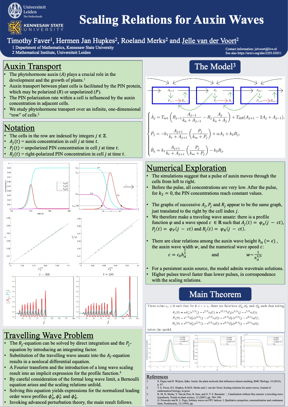 Jelle van der Voort's prize poster: Scaling relations for auxin waves